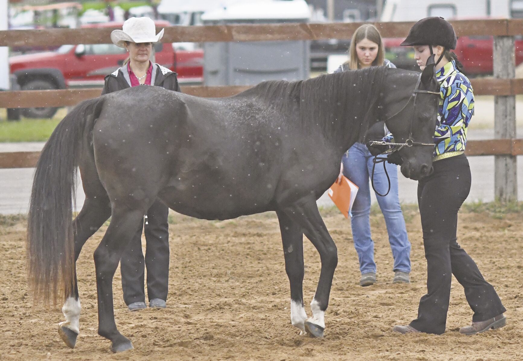 Breath of Fresh Air: English Showmanship competition